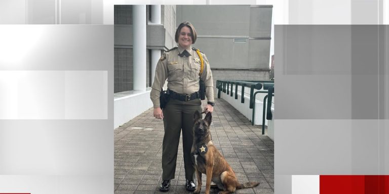 Etowah County Sheriff’s Office welcomes new K-9